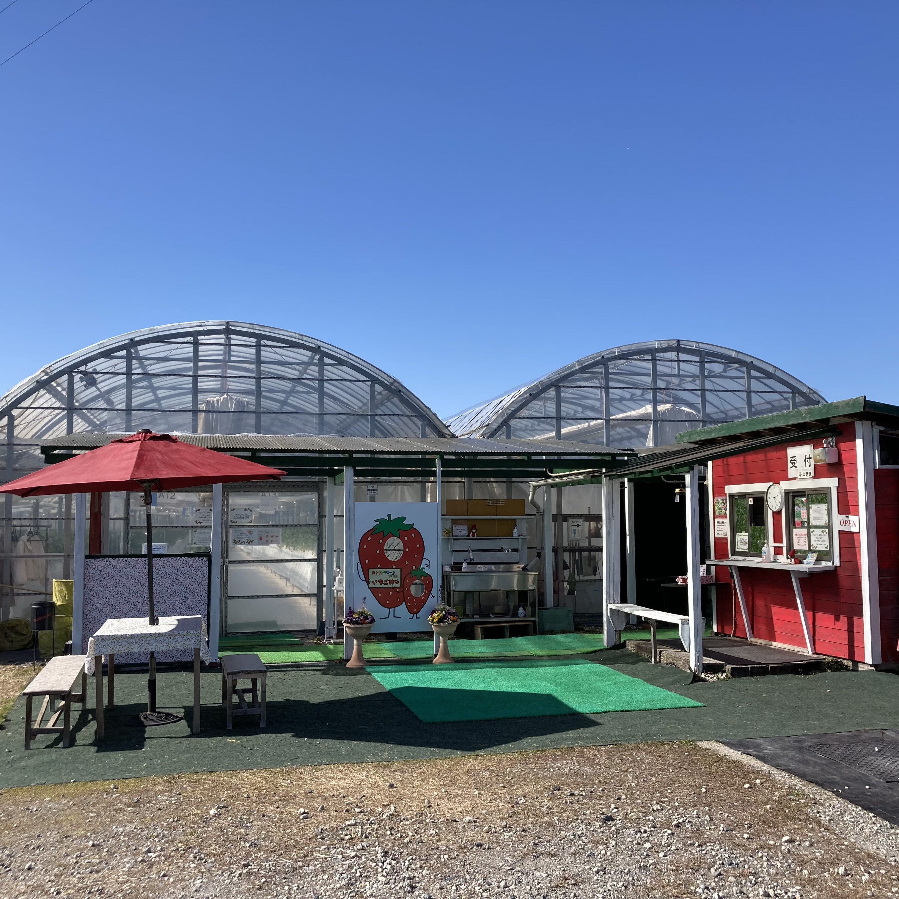青空の下のストロベリーノ下田のハウスと受付
